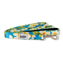 Load image into Gallery viewer, Salty Paws Tropical Leash  Neoprene Lined Handle 6&#39; Length
