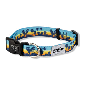 california-sunset-palms-dog-collar