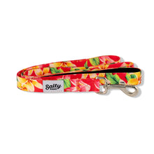 Load image into Gallery viewer, Salty Paws Tropical Leash  Neoprene Lined Handle 6&#39; Length
