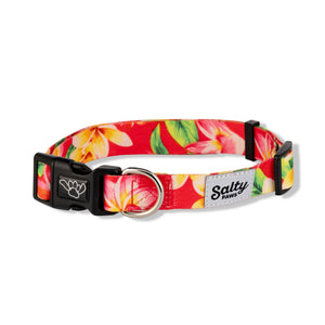 pink-tropical-dog-collar-salty-paws-beach