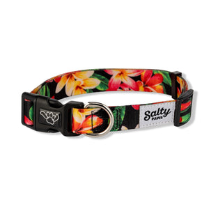 salty-paws-black-dog-collar-surf  1920 × 1920px