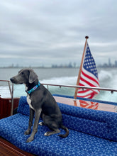 Load image into Gallery viewer, salty-paws-boat-dog-collar-cool-blue-boat-dog-collar-for-large-dogs-american-flag-nyc
