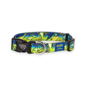 salty paws dog collar mahi -mahi fish blue green d. friel designed large medium small sizes for all dog breeds