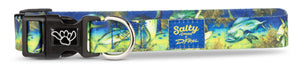 Salty Paws Mahi -Mahi Fish Print Dog Collar D. Friel Connected By Water Collaboration Made from Recycled Plastic Bottles