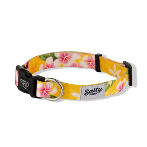 salty-paws-yellow-tropical-dog-collar-hawaiian