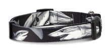 Load image into Gallery viewer, Salty Paws Mako Shark Dog Collar by D. Friel Made From Recycled Plastic Bottles
