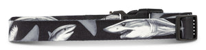 Salty Paws Mako Shark Dog Collar by D. Friel Made From Recycled Plastic Bottles