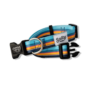 Surf Stripe Dog Collar Made From Recycled Plastic Bottles