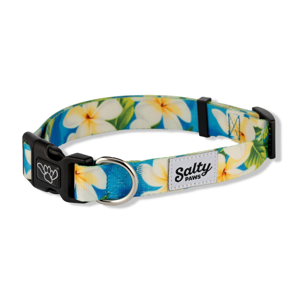 Blue Plumeria Tropical Dog Collar Made From Recycled Plastic Bottles