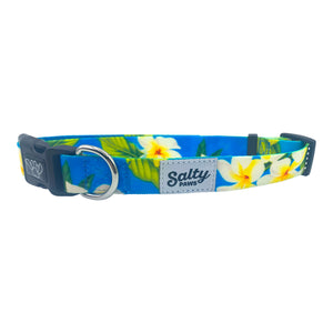 salty paws tropical dog collar blue hawaiian floral print with yellow white flowers for small medium large size dogs