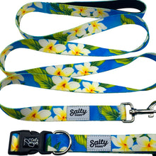 Load image into Gallery viewer, salty paws tropical hawaiian dog collar and leash matching set blue plumeria print with white and yellow flowers for small medium large dogs
