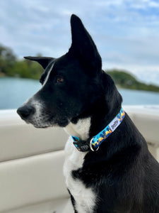california sunset salty paws eco friendly collar on large black dog in a boat on water