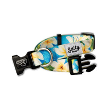 Load image into Gallery viewer, Blue Plumeria Tropical Dog Collar Made From Recycled Plastic Bottles
