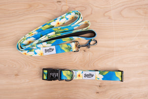 salty paws tropical hawaiian dog collar and leash matching set blue plumeria print with white and yellow flowers for small medium large dogs