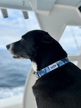 Load image into Gallery viewer, salty paws large blue dog collar wave print  black dog on boat 
