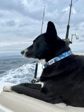 Load image into Gallery viewer, salty paws blue wave dog collar large black dog on boat with fishing poles 
