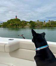 Load image into Gallery viewer, large black dog on boat with jupiter lighthouse  and pelican background salty paws surf stripe dog collar blue orange black dog collar made from repreve recycled plastic bottle fabric 
