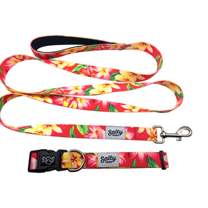 Tropical Floral Print Dog Collar and Leash Matching Set Pink Floral