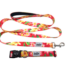 Salty Paws Tropical Dog Collar