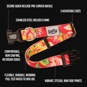 alty paws dog collar info graphic 3 available sizes stainless d ring comfortable non chafing no rough edges flexible durable webbing made from recycled plastic bottles using repreve fabric