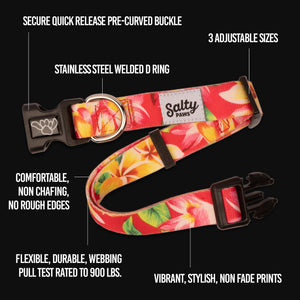 salty paws dog collar 3 available sizes stainless d ring comfortable non chafing no rough edges flexible durable webbing made from recycled plastic bottles using repreve fabric